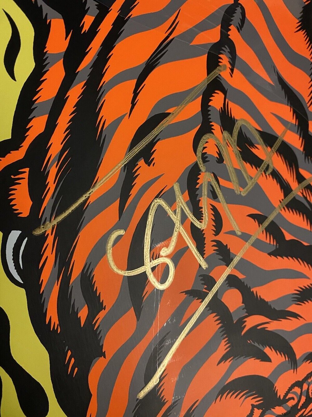 Signed Steve Alba SALBA Autographed Skateboard Deck Santa Cruz Red Tiger
