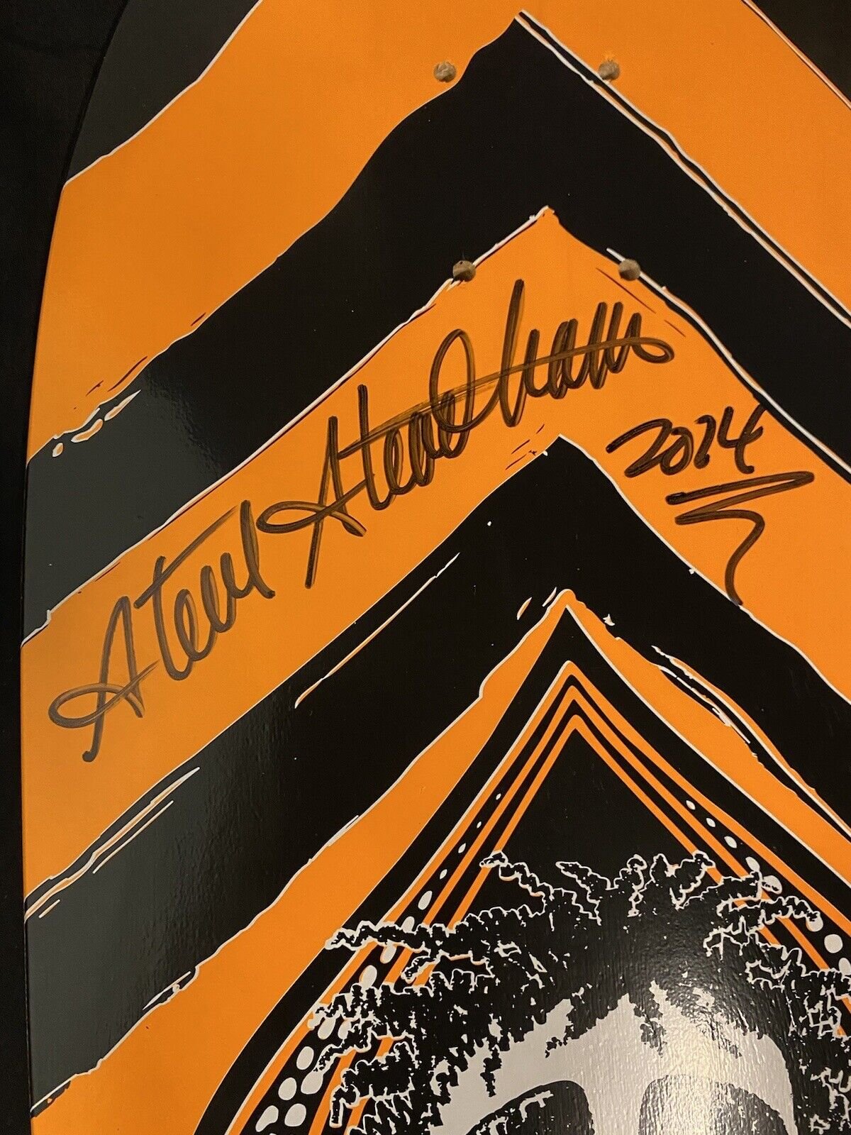 Signed Steve Steadham Stedmz Double Sided Graphic Autographed Skateboard Deck Orange