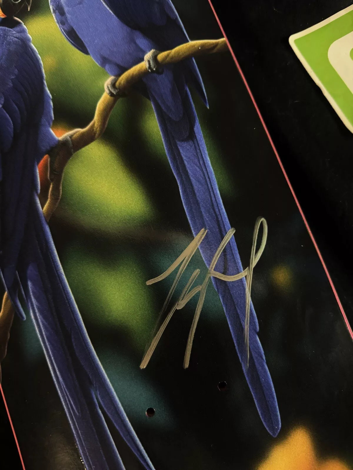 Yuto Horigome Signed Rayssa Leal Macaw April Autographed Skateboard Deck