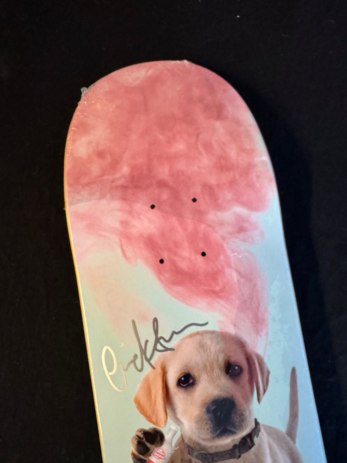 Signed Eric Koston Autographed Skateboard Deck Vaping Puppy Dog Skate Mental Anderson