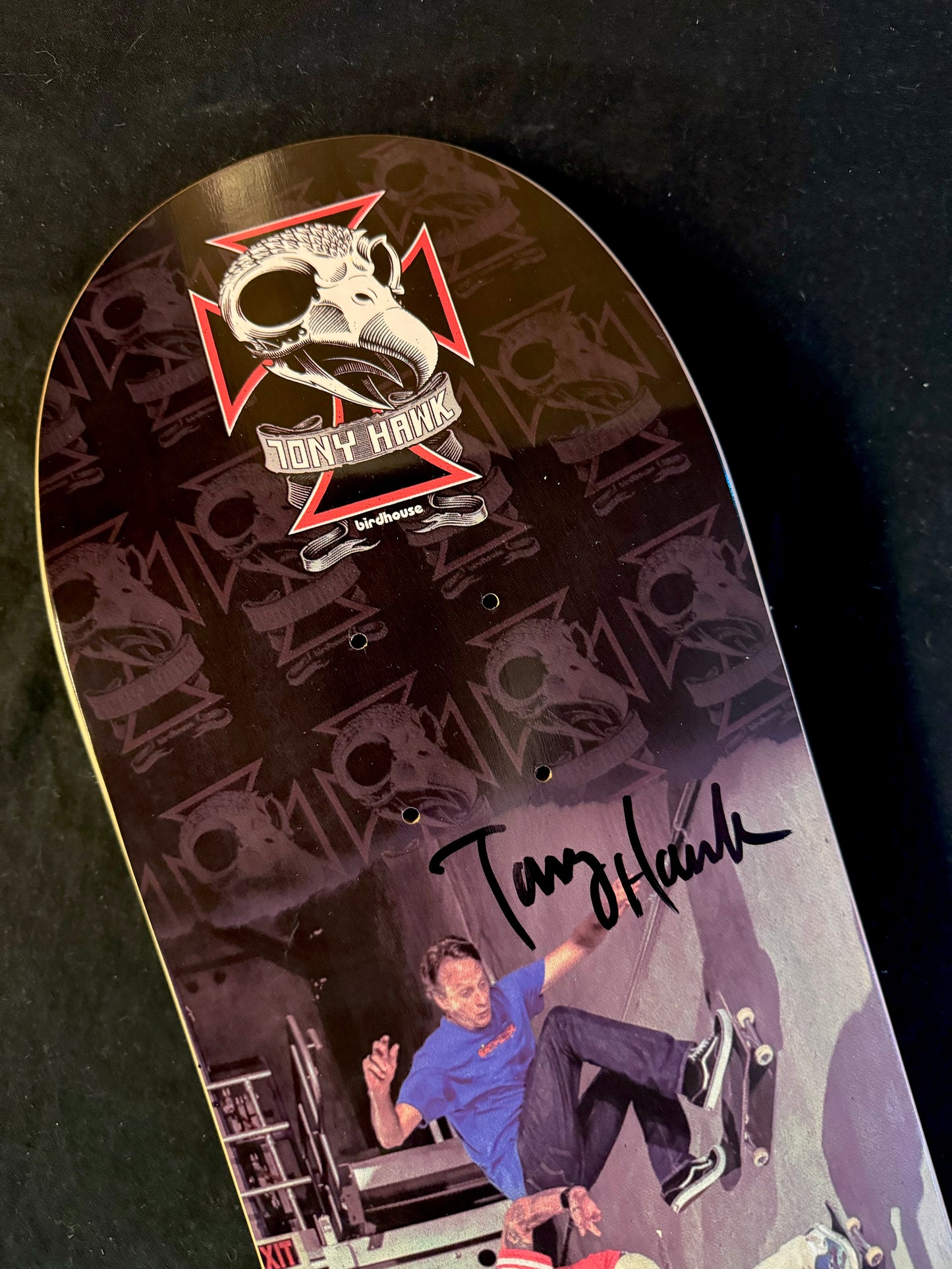 Signed Tony Hawk SteveO Double Wall Ride Autographed Skateboard Deck