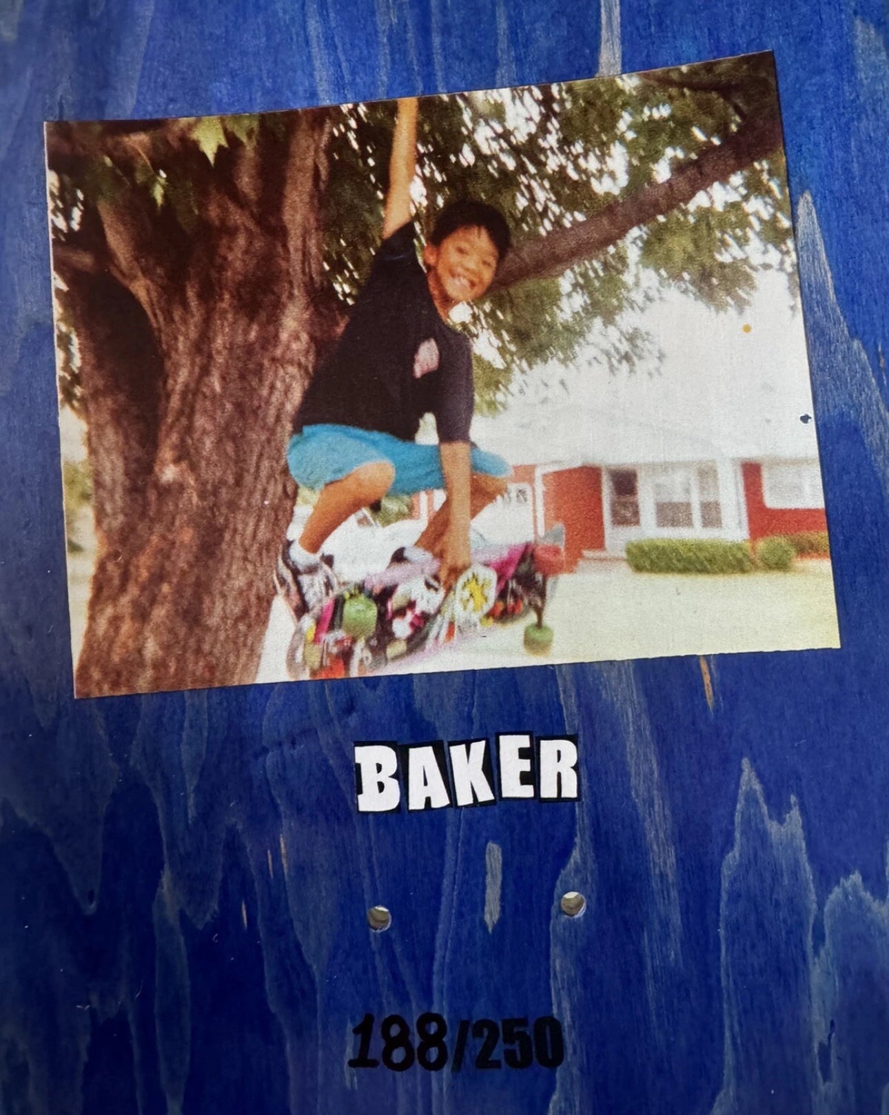 Signed Don Nguyen Epicly Later'd Baker Autographed Skateboard Deck