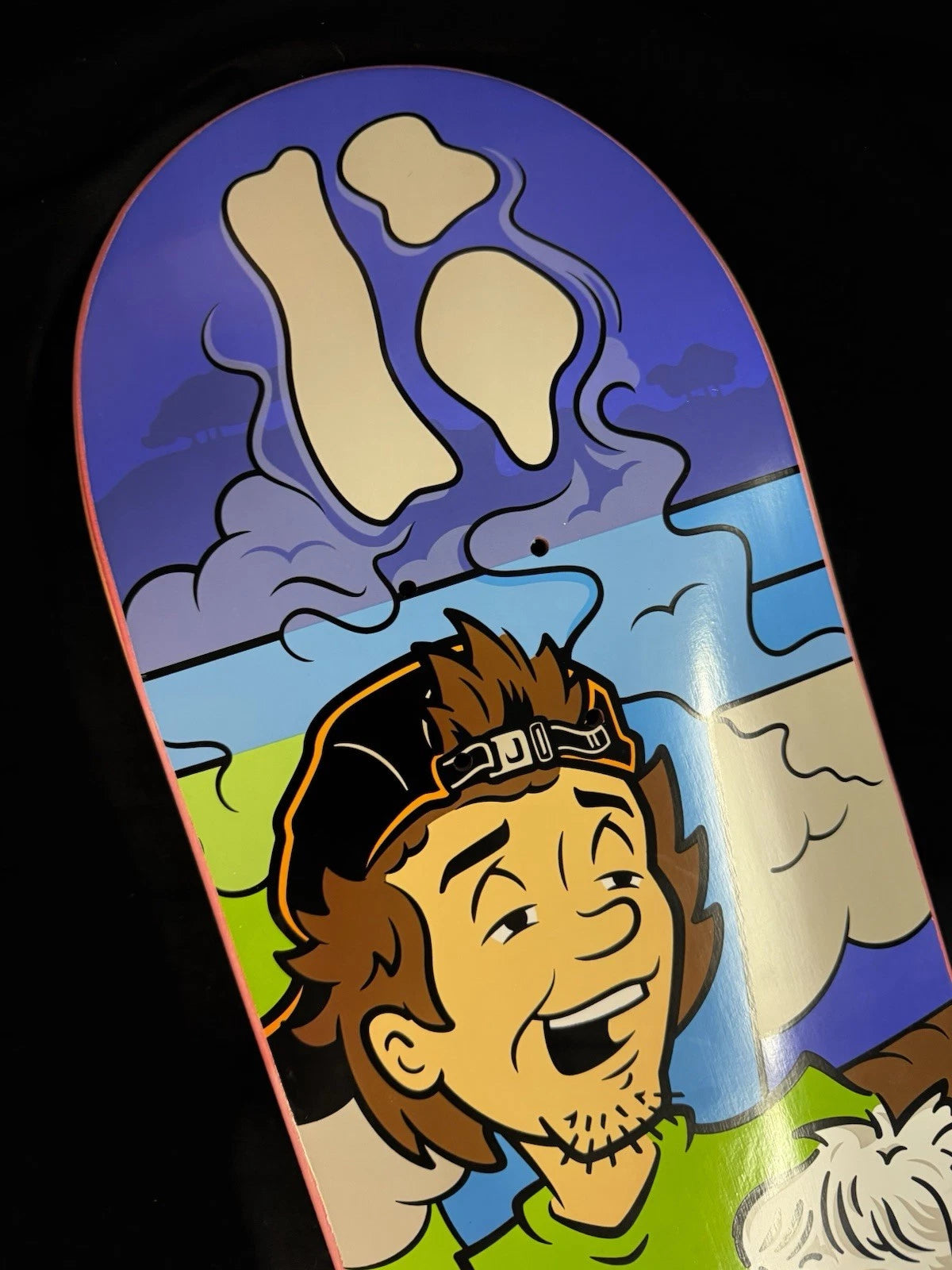 Signed Chris Joslin Shaggy Scooby Doo Plan B Autographed Skateboard Deck