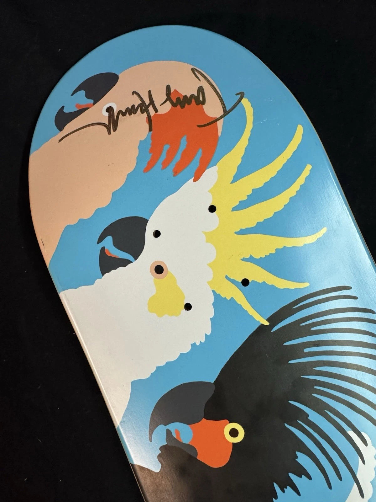 Signed Tony Hawk Bird Gang Autographed Birdhouse Skateboard Deck
