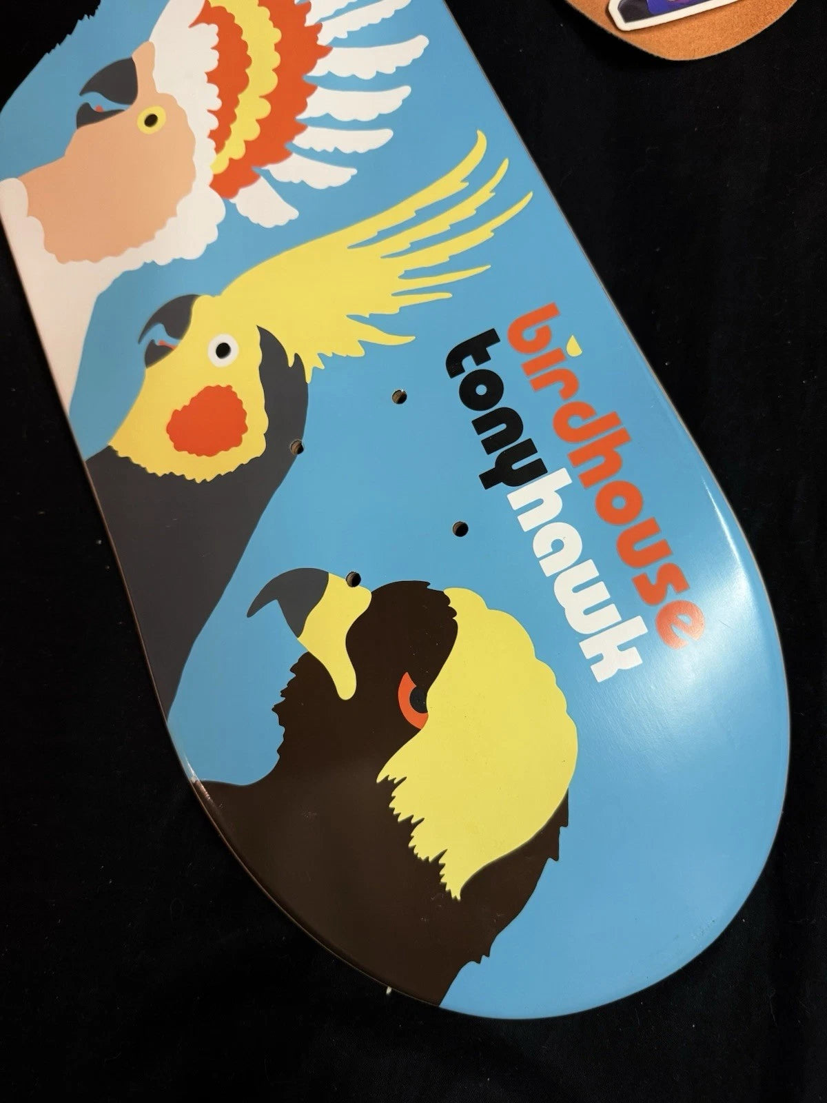Signed Tony Hawk Bird Gang Autographed Birdhouse Skateboard Deck