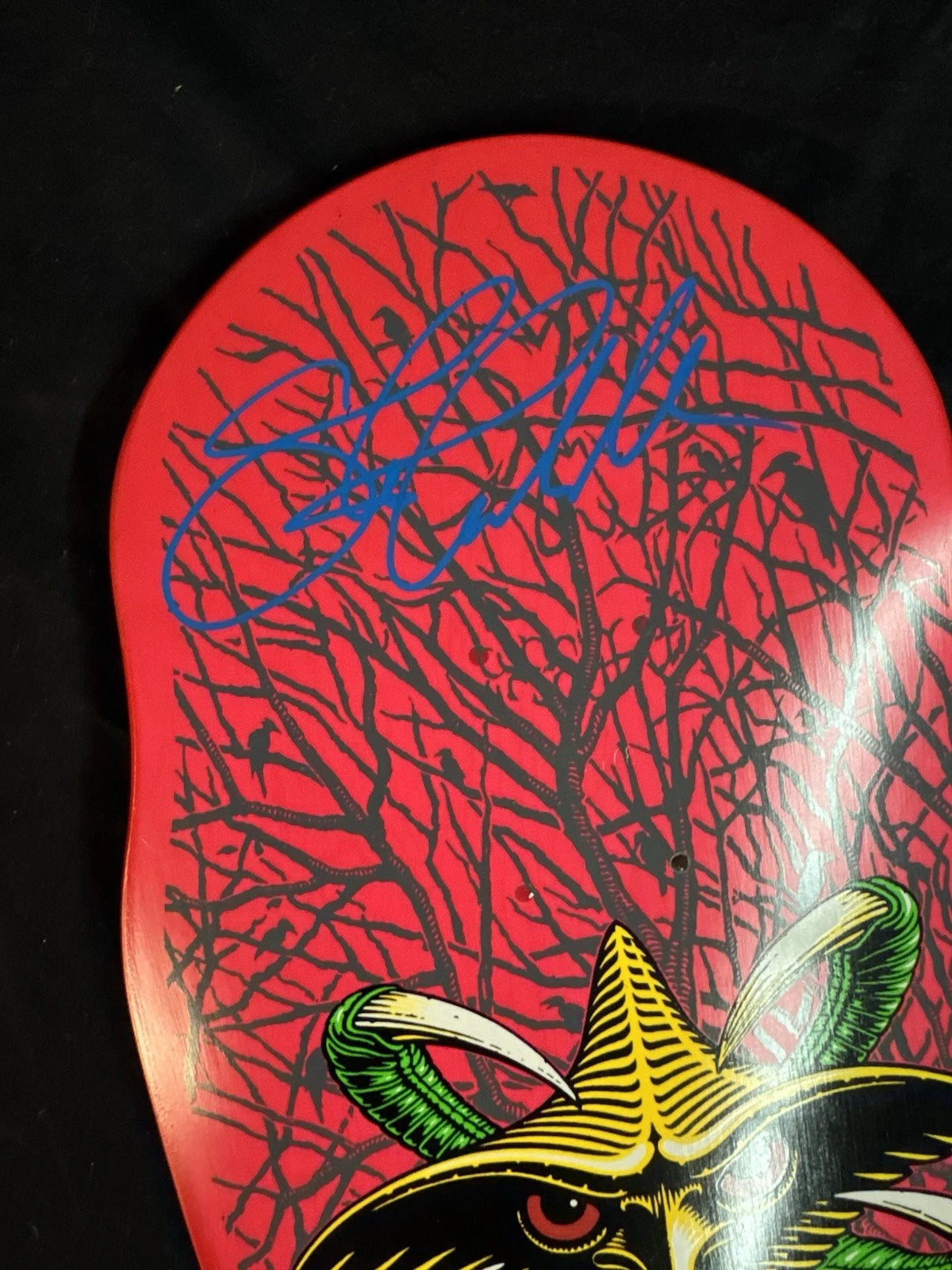 TEAM SIGNED Tony Hawk Claw Bones Brigade Autographed Powell Peralta Skateboard Deck