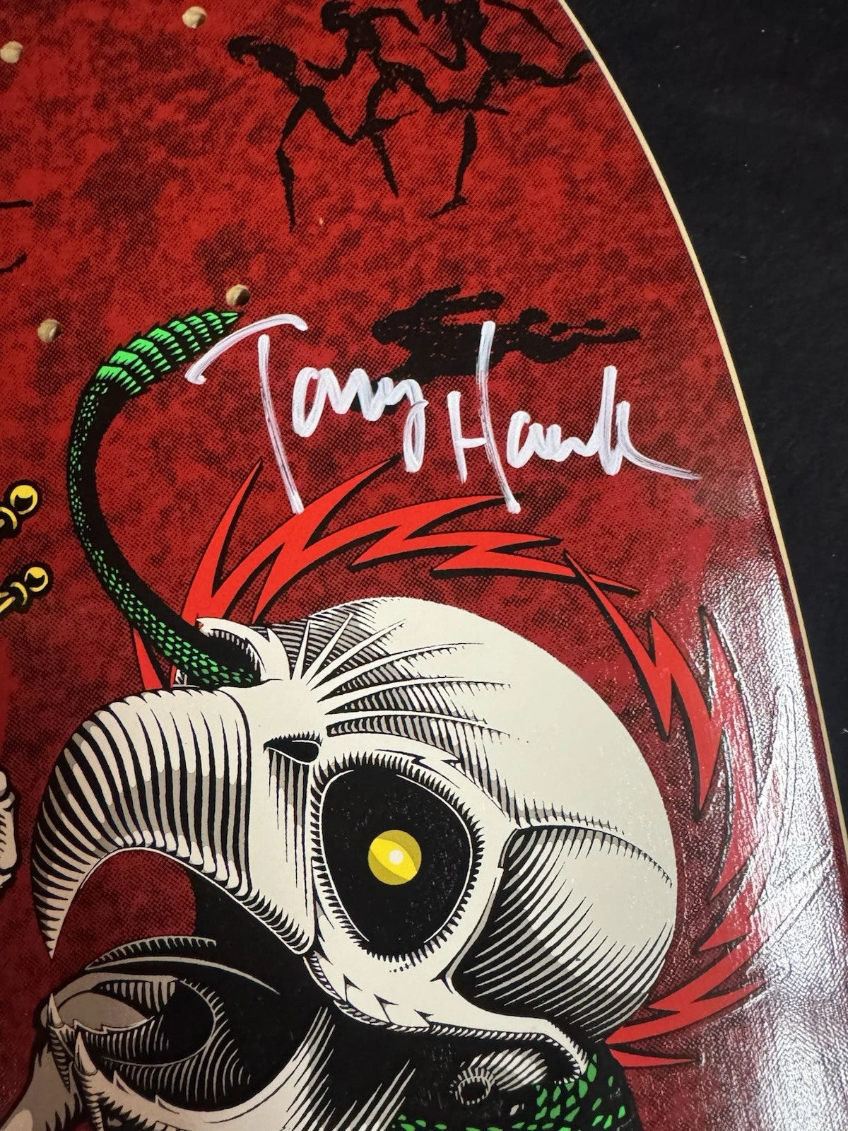 TEAM SIGNED Rodney Mullen Tony Hawk Experience Autographed Skateboard Deck COA Bones Brigade
