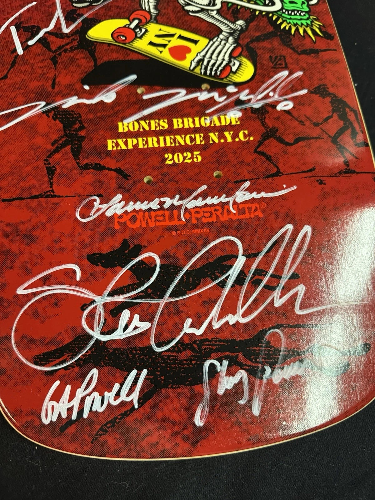 TEAM SIGNED Rodney Mullen Tony Hawk Experience Autographed Skateboard Deck COA Bones Brigade