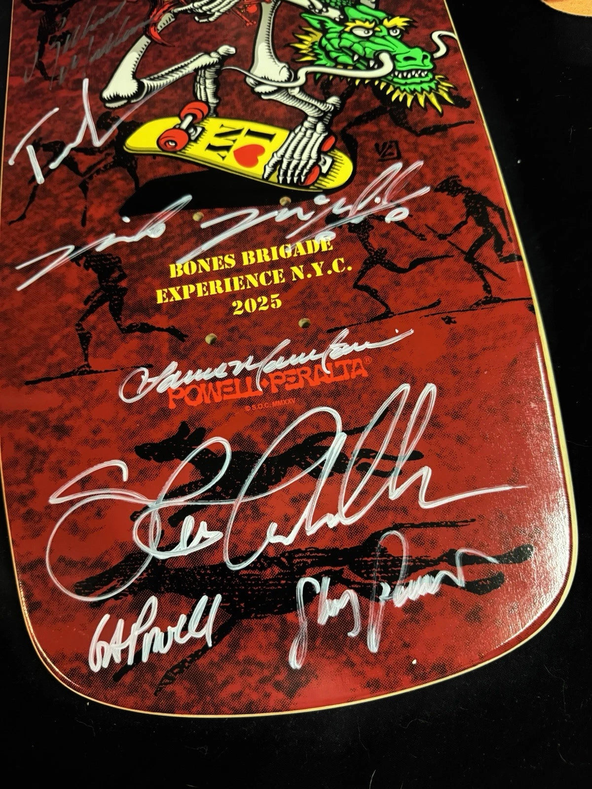 TEAM SIGNED Rodney Mullen Tony Hawk Experience Autographed Skateboard Deck COA Bones Brigade